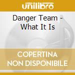 Danger Team - What It Is cd