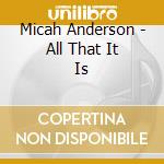 Micah Anderson - All That It Is cd