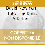 David Newman - Into The Bliss: A Kirtan Experience cd musicale di David Newman