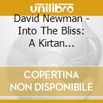 David Newman - Into The Bliss: A Kirtan Experience cd
