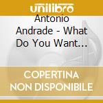 Antonio Andrade - What Do You Want From Me cd musicale di Antonio Andrade