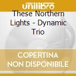 These Northern Lights - Dynamic Trio cd musicale di These Northern Lights