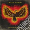 (LP Vinile) Jackson Firebird - Shake The Breakdown cd
