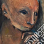 (LP Vinile) Jon Brooks - Moth Nor Rust Ii vinile