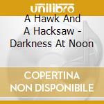 A Hawk And A Hacksaw - Darkness At Noon cd