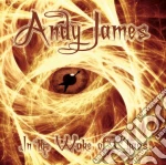 Andy James - In The Wake Of Chaos cd