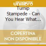 Turnip Stampede - Can You Hear What This Looks Like? cd