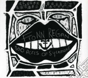 Fionn Regan - 100 Acres Of Sycamor cd musicale di Fionn Regan