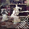 Franz Doppler / Carl Doppler - Complete Flute Music Vol.9/10 cd
