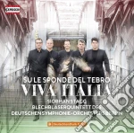 Su Le Sponde Del Tebro: Viva Italia cd