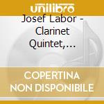 Josef Labor - Clarinet Quintet, Quintet & Clarinet Trio (2 Cd) cd musicale