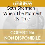 Seth Sherman - When The Moment Is True cd
