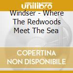 Windser - Where The Redwoods Meet The Sea cd