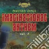 Guitar Soli Imaginational Anthems Volume 7 / Various cd