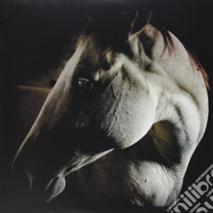 (LP Vinile) Brother Dege - How To Kill A Horse lp vinile di Brother Dege