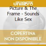 Picture & The Frame - Sounds Like Sex cd