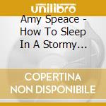 Amy Speace - How To Sleep In A Stormy Boat cd musicale di Amy Speace