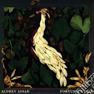 Audrey Assad - Fortunate Fall cd musicale di Audrey Assad