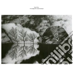 Nick Mott - Here Begins The Great Destroyer cd