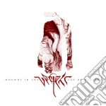 Vprojekt - Wounds In The Age Of Healing cd
