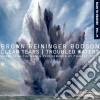 Steven Brown / Blaine Reininger / Maxime Bodson - Clear Tears/troubled Waters cd