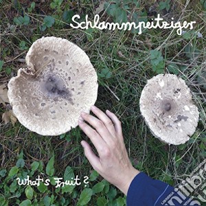 Schlammpeitziger - What's Fruit cd musicale di Schlammpeitziger