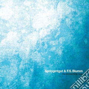 Springintgut & F.s. Blumm - The Bird And White Noise cd musicale di Springintgut & F.s. Blumm