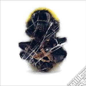 Deadbeat - Walls And Dimensions cd musicale di Deadbeat