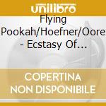 Flying Pookah/Hoefner/Oore - Ecstasy Of Becoming,The cd
