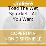 Toad The Wet Sprocket - All You Want cd