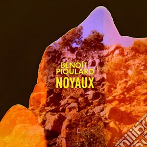 (LP Vinile) Benoit Pioulard - Noyaux lp vinile di Benoit Pioulard
