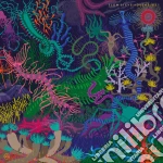 (LP Vinile) Slow Steve - Adventures vinile