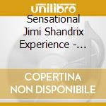 Sensational Jimi Shandrix Experience - Electric Landlady cd