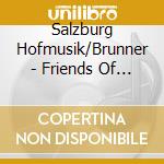 Salzburg Hofmusik/Brunner - Friends Of Schubert cd
