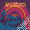 (LP Vinile) Acid Mothers Temple & The Melting Paraiso U.F.O. - Acid Mothers Temple & The Melting Paraiso U.F.O. (2 Lp) cd