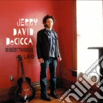 Jerry David Decicca - Understanding Land cd