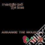 Mentallo And The Fixer - Arrange The Molecule cd