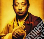 Lama Gyurme & Jean-Philippe Rykiel - Rain Of Blessings: Vajra Chant