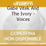Gabe Vitek And The Ivory - Voices cd