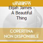 Elijah James - A Beautiful Thing cd