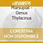 Marsupial - Genus Thylacinus cd