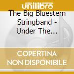 The Big Bluestem Stringband - Under The Prairie Moon cd
