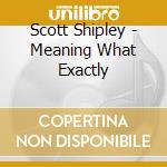 Scott Shipley - Meaning What Exactly cd