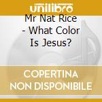 Mr Nat Rice - What Color Is Jesus? cd musicale di Mr Nat Rice