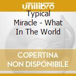 Typical Miracle - What In The World cd