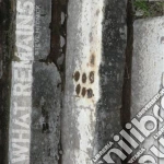 Steve Mednick - What Remains cd