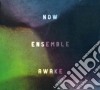 Greenstein / Friar / Mazzoli / Dancigers / Now Ens - Awake cd