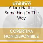 Adam Harth - Something In The Way cd