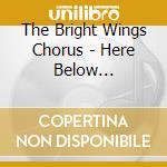 The Bright Wings Chorus - Here Below (Original Songs In The Shape Note Tradition By Brendan Taaffe) cd