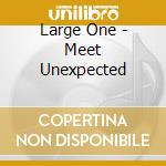 Large One - Meet Unexpected